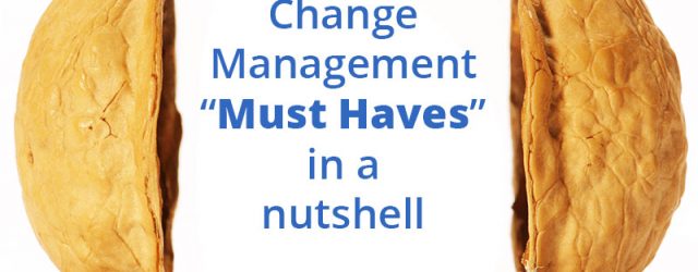 8 Must haves for change manager